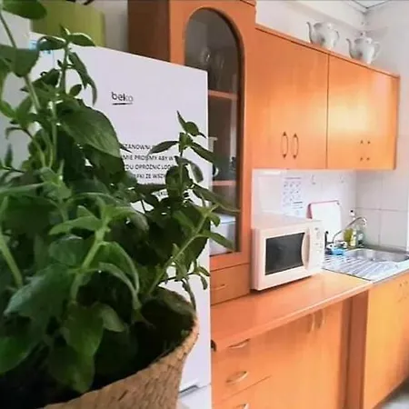 Pod Sloneczkiem 6